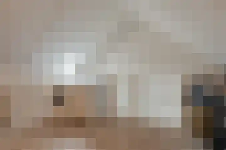 Boterbloem 9 't Veld thumbnail 26
