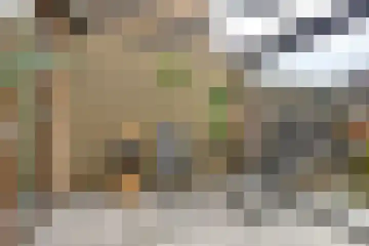 Boterbloem 9 't Veld thumbnail 28