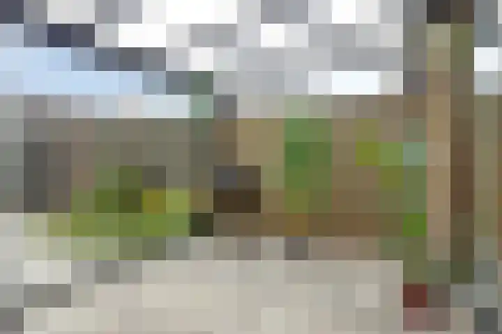 Boterbloem 9 't Veld thumbnail 29