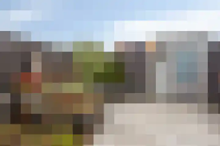 Boterbloem 9 't Veld thumbnail 31