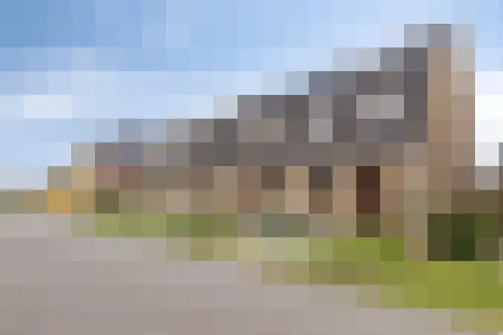 Boterbloem 9 't Veld thumbnail 5