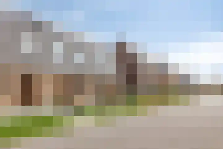 Boterbloem 9 't Veld thumbnail 6