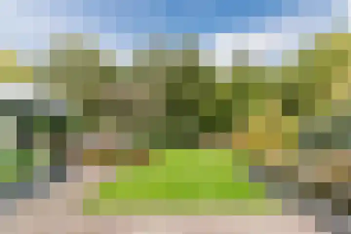 Boterbloemstraat 3 Vught thumbnail 36