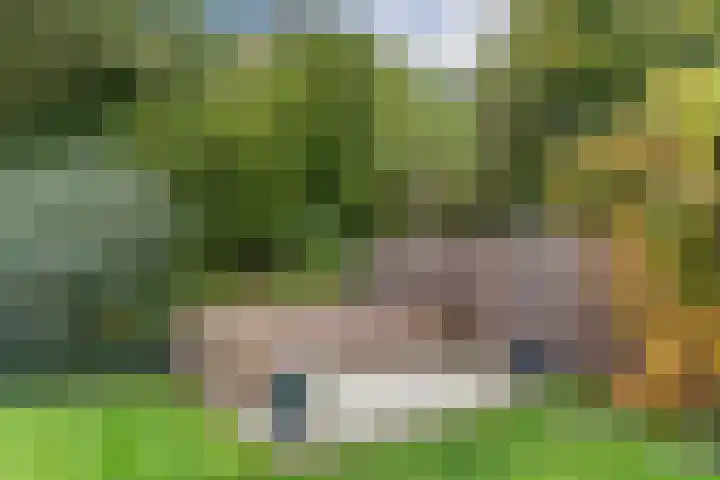 Boterbloemstraat 3 Vught thumbnail 41