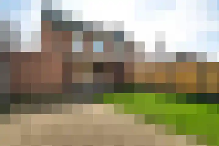 Boterbloemstraat 35 Weert thumbnail 25