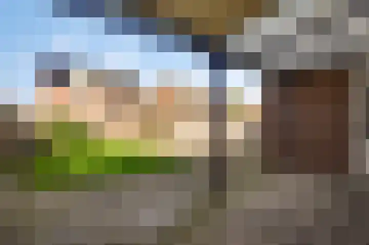 Boterbloemstraat 35 Weert thumbnail 26