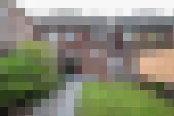 Boterbloemstraat 6 Appingedam thumbnail 14