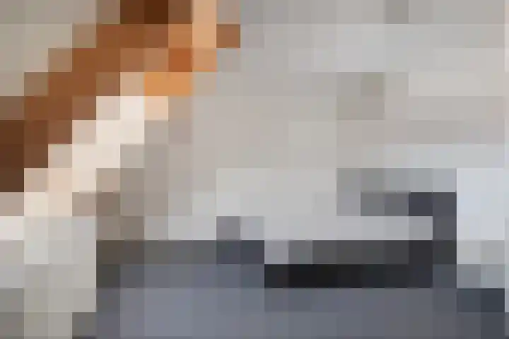 Boterbloemstraat 6 Appingedam thumbnail 28