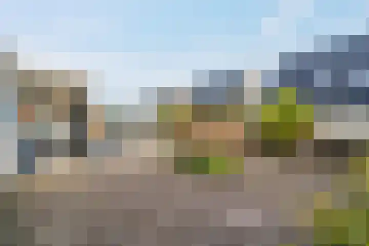 Boterbloemstraat 6 Appingedam thumbnail 46