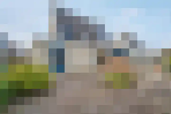 Boterbloemstraat 6 Appingedam thumbnail 47