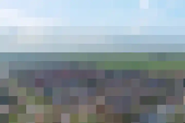 Boterbloemstraat 6 Appingedam thumbnail 8