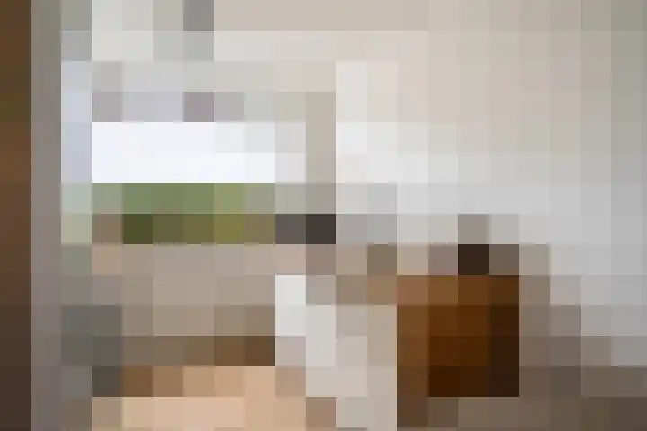 Boterbloemweide 86 Woerden thumbnail 18
