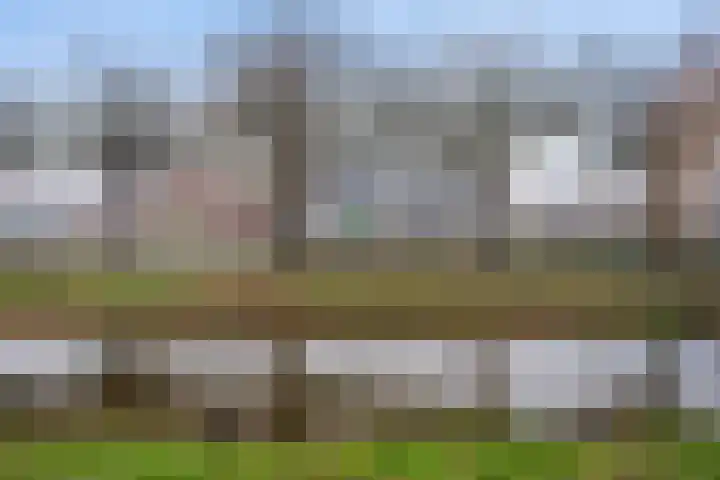 Boterbloemweide 86 Woerden thumbnail 39