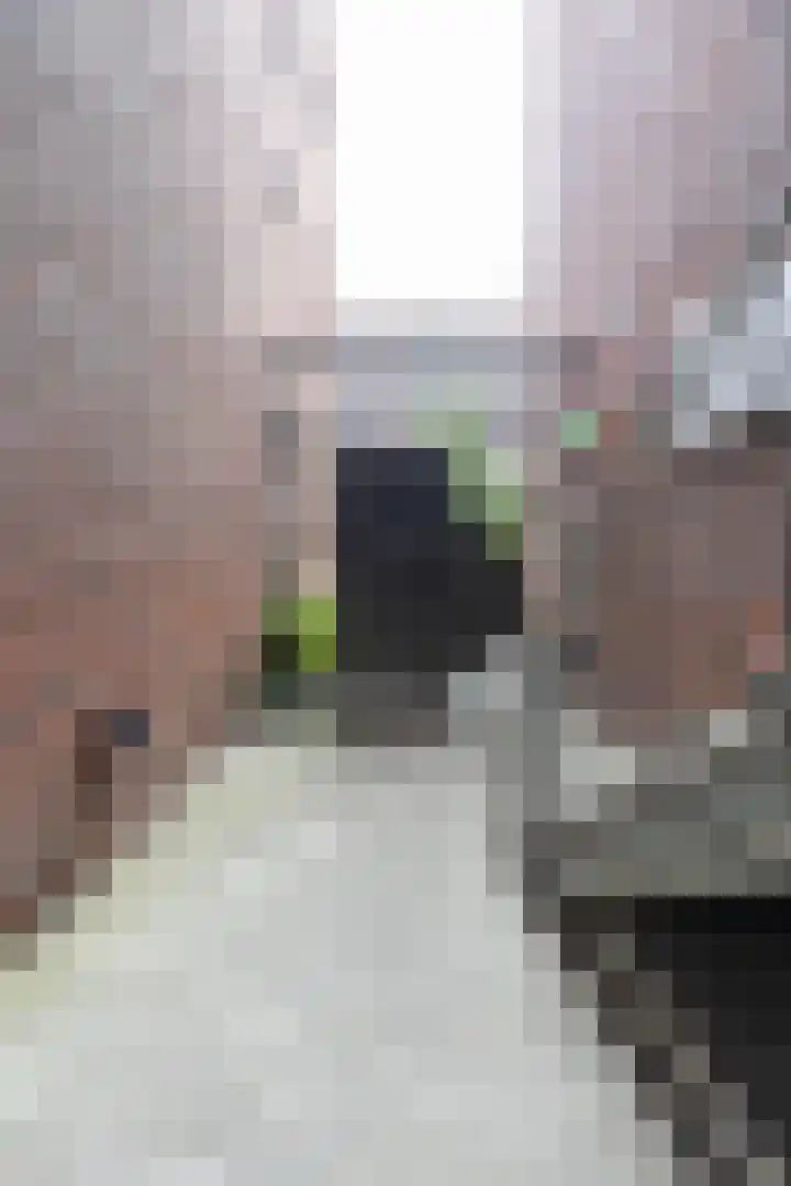 Boterdiep 32 5 Groningen thumbnail 37