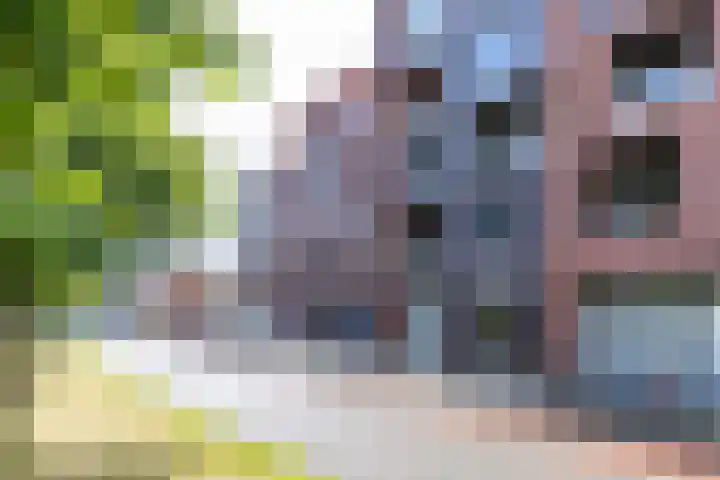 Boterdiep 32 5 Groningen thumbnail 44