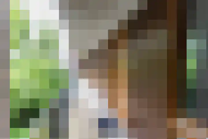 Boterdiep 32 5 Groningen thumbnail 9