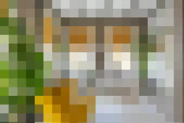 Boterdiep Oz 7 Bedum thumbnail 14