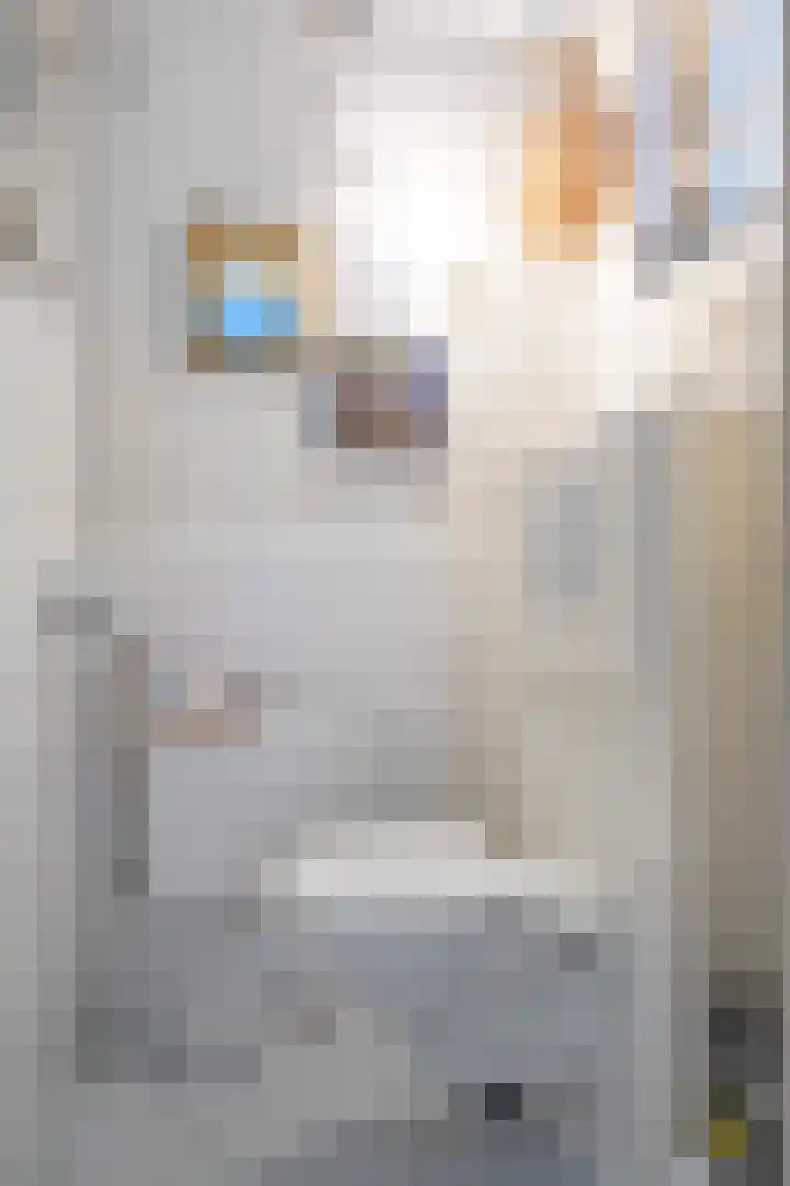 Boterdiep Oz 7 Bedum thumbnail 45