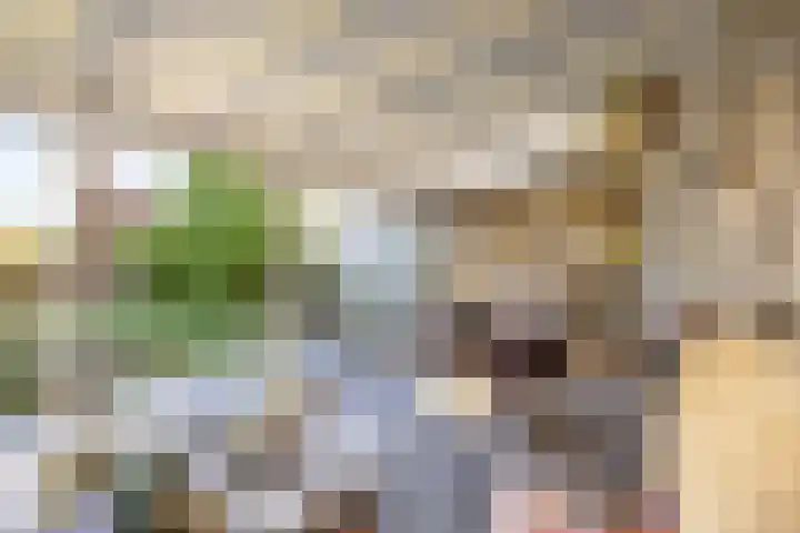 Boterdiep Oz 7 Bedum thumbnail 55
