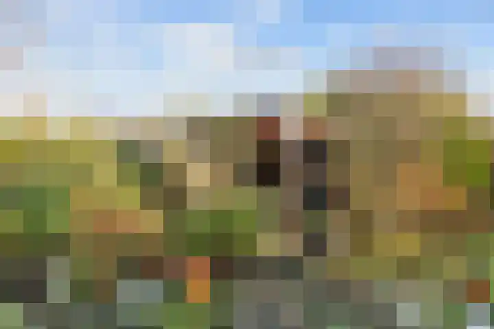 Boterdiep Oz 7 Bedum thumbnail 61