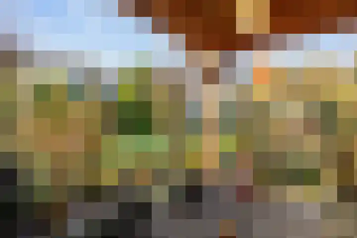 Boterdiep Oz 7 Bedum thumbnail 63
