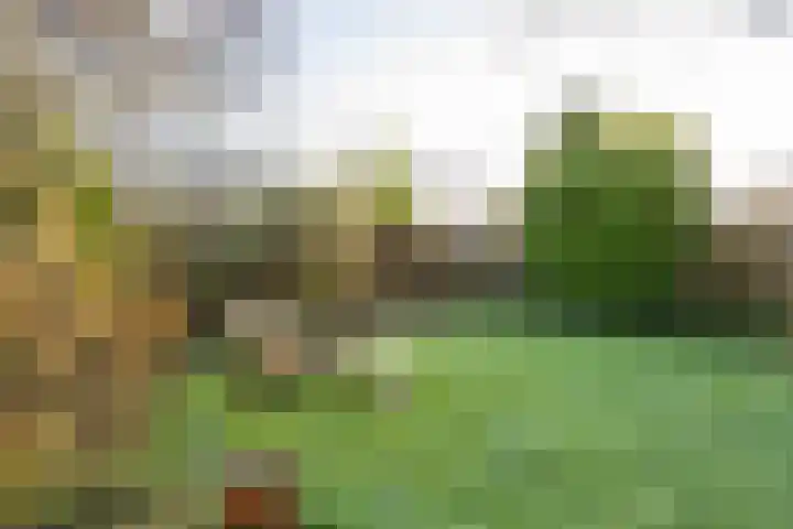 Boterdiep Oz 7 Bedum thumbnail 65