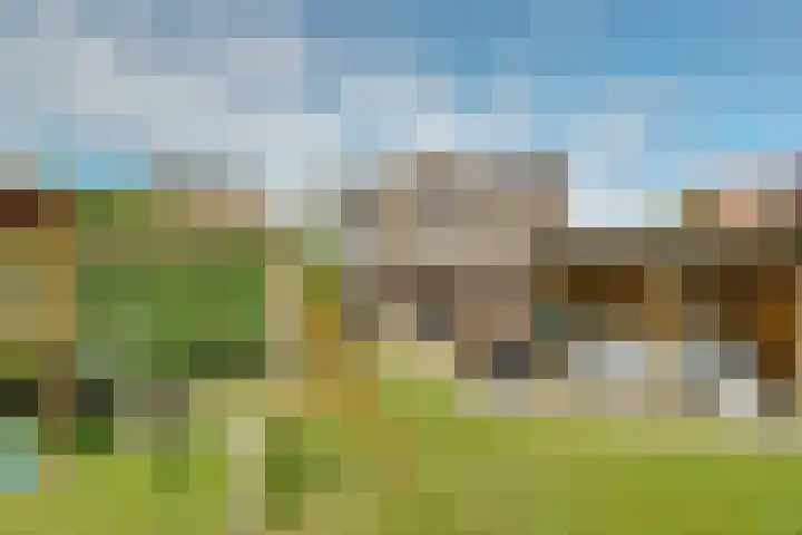 Boterdijk 24 Siebengewald thumbnail 34