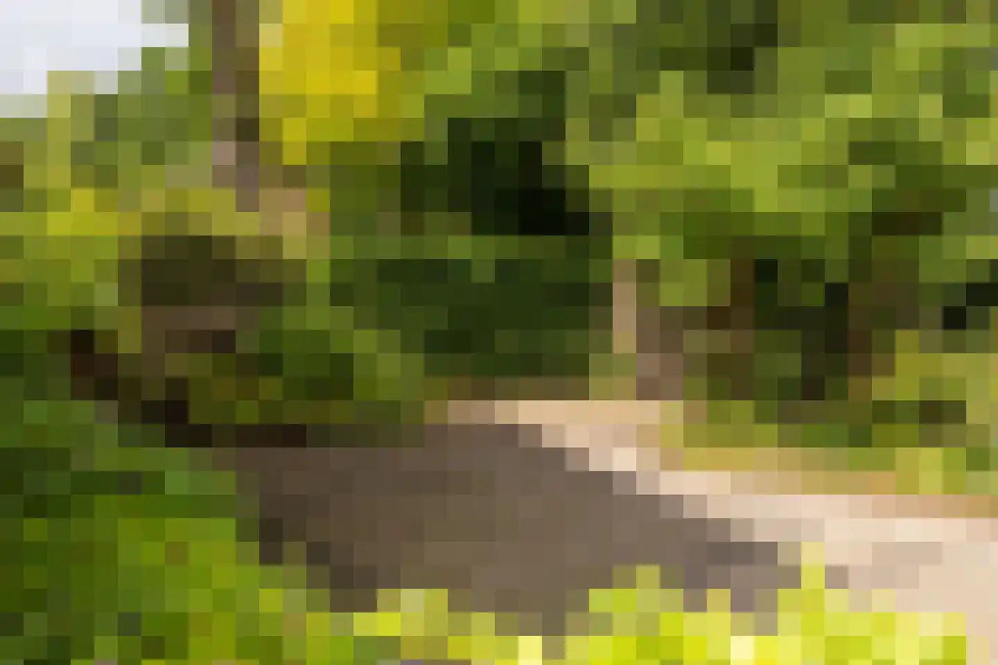Boterdijk 26 Nunspeet thumbnail 12