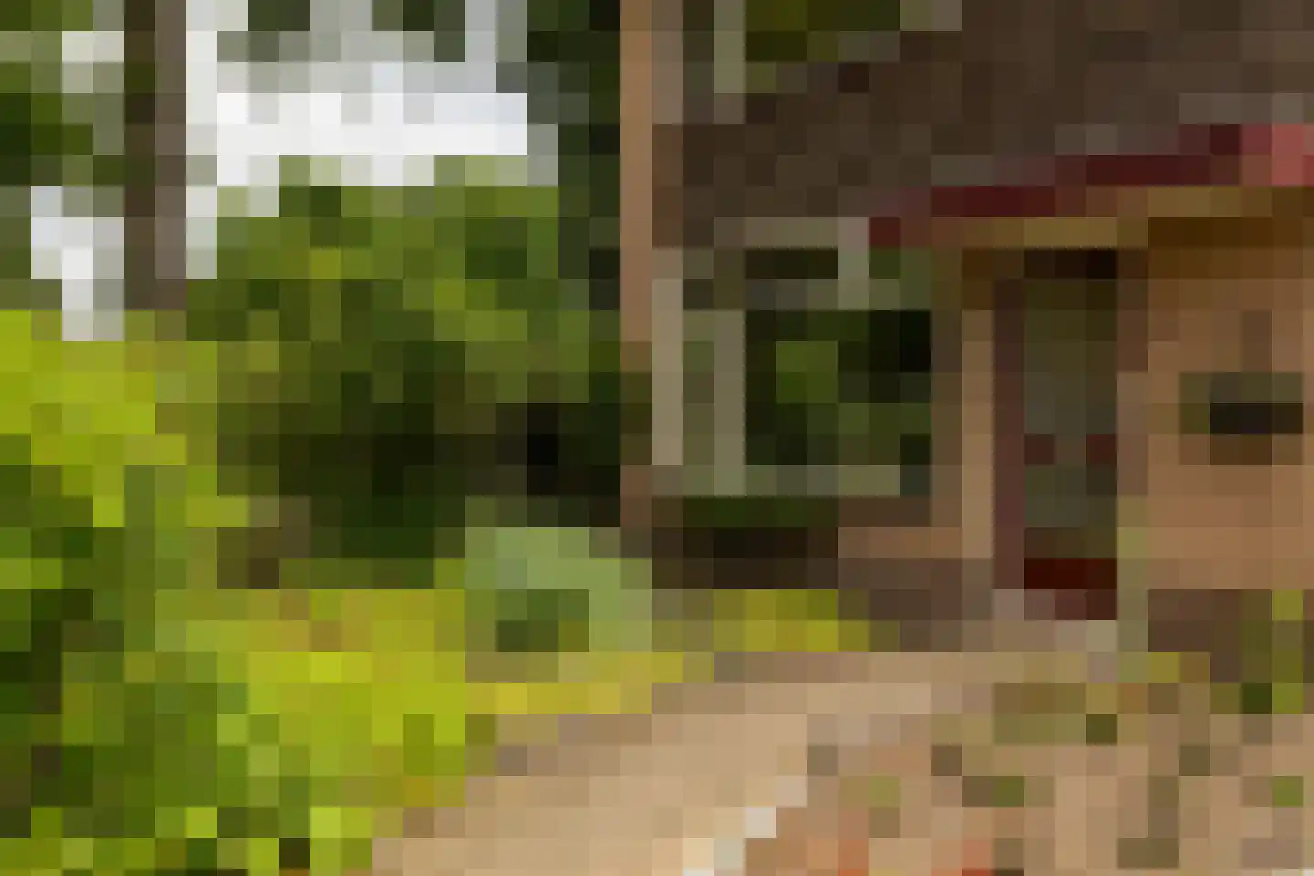 Boterdijk 26 Nunspeet thumbnail 13