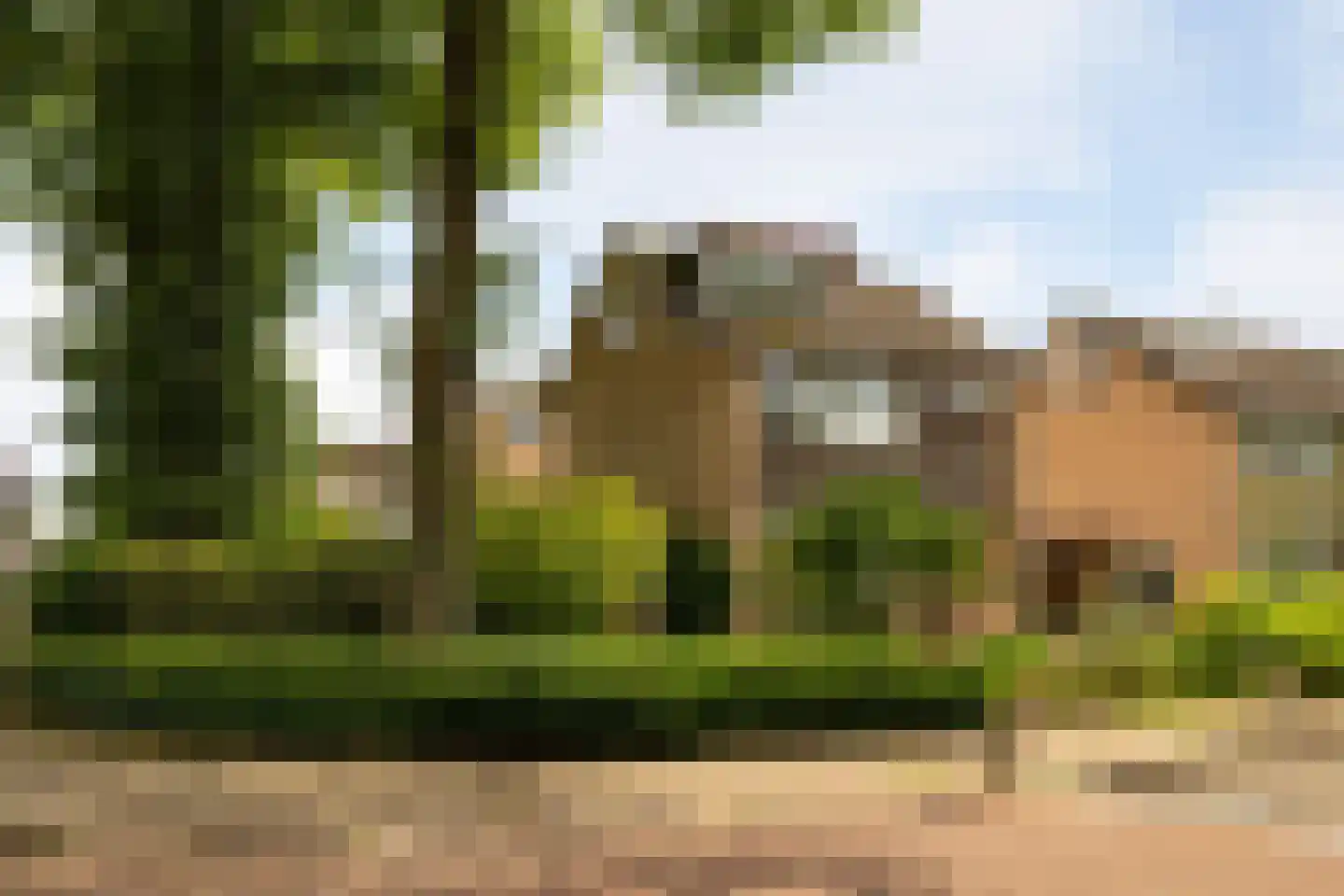 Boterdijk 26 Nunspeet thumbnail 4