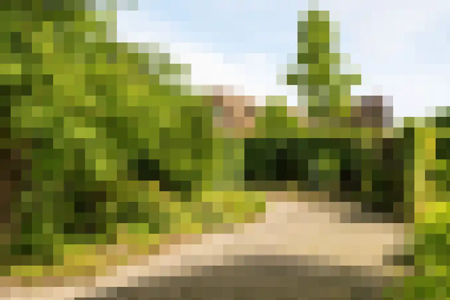 Boterdijk 26 Nunspeet thumbnail 55