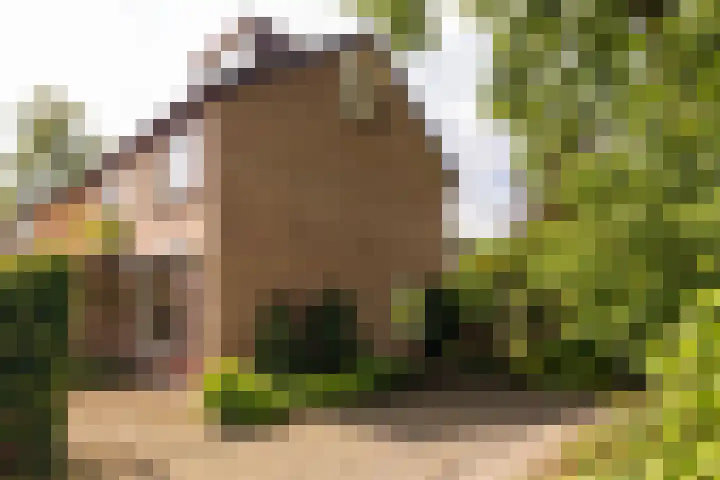 Boterdijk 26 Nunspeet thumbnail 7