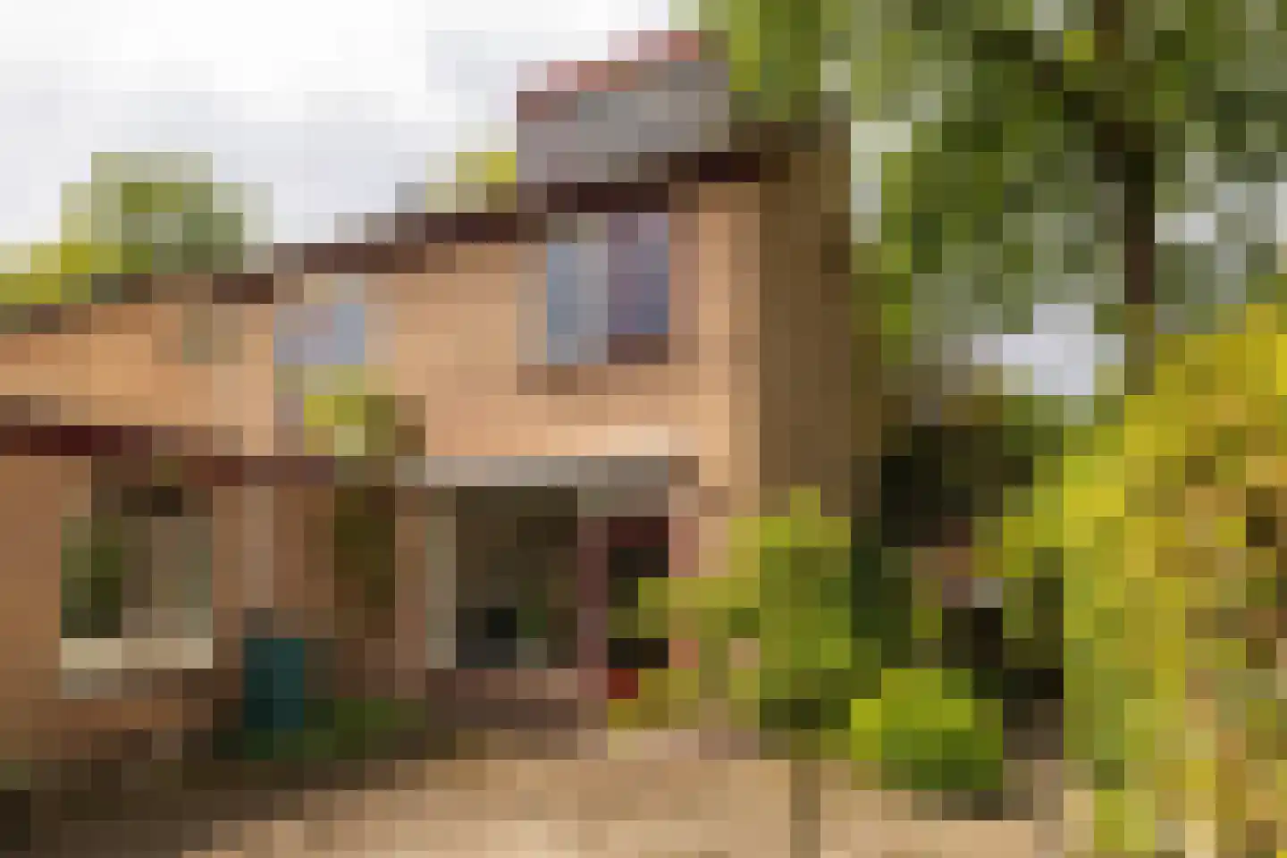 Boterdijk 26 Nunspeet thumbnail 8