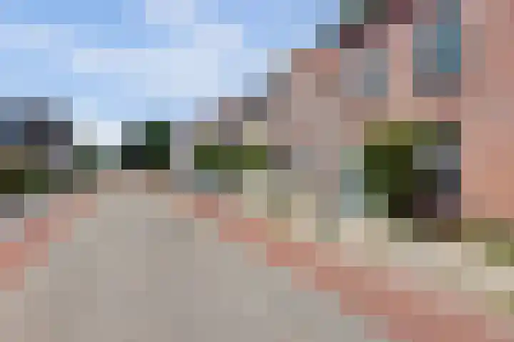 Boterdijk 28 Tolkamer thumbnail 40