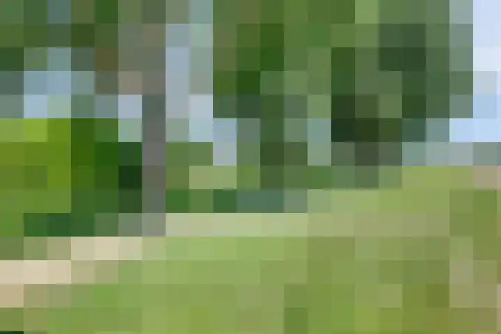 Boterdijk 28 Tolkamer thumbnail 42