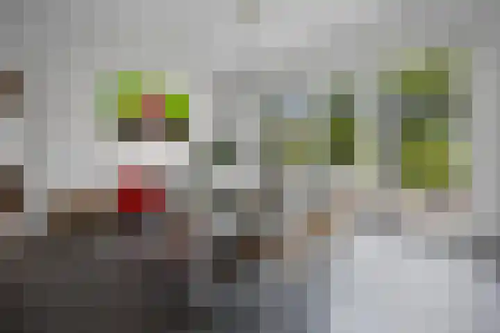 Boterdijk 4 Malden thumbnail 11