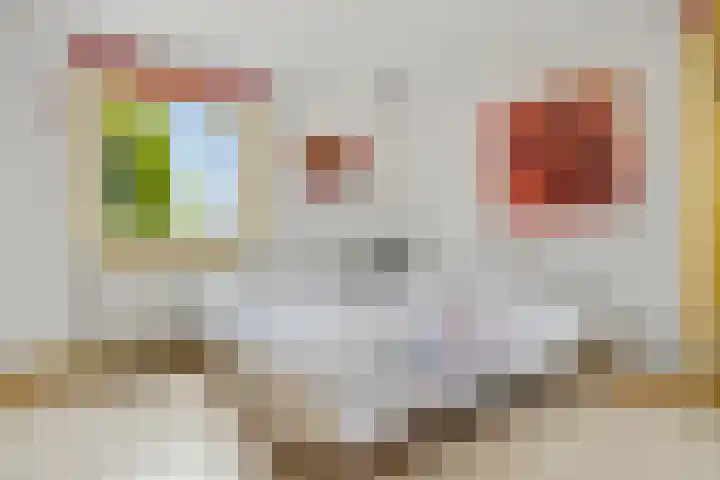 Boterdijk 4 Malden thumbnail 39