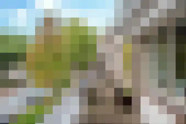 Boterhoek 129 Best thumbnail 20