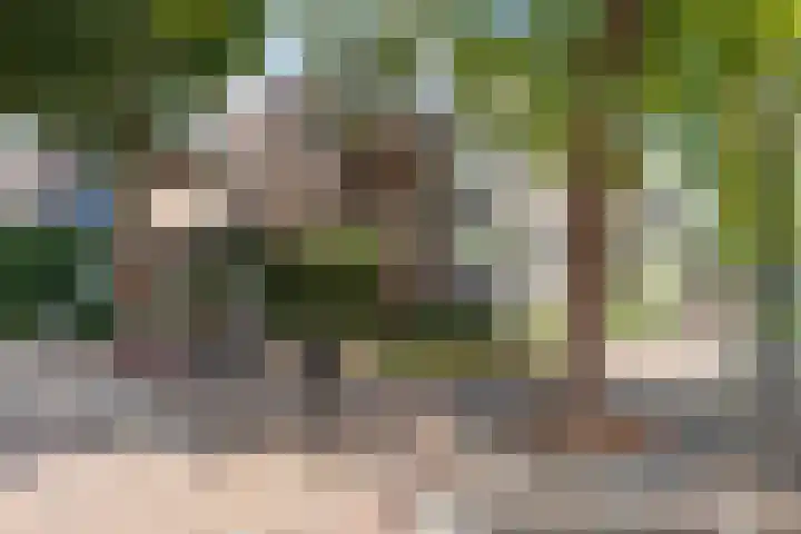 Boterhoek 129 Best thumbnail 36