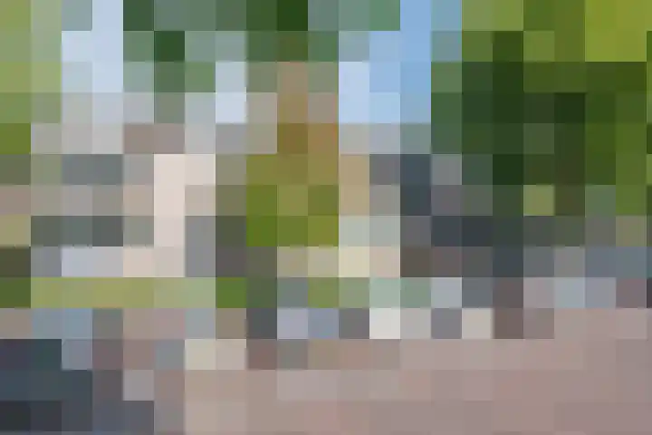 Boterhoek 129 Best thumbnail 38