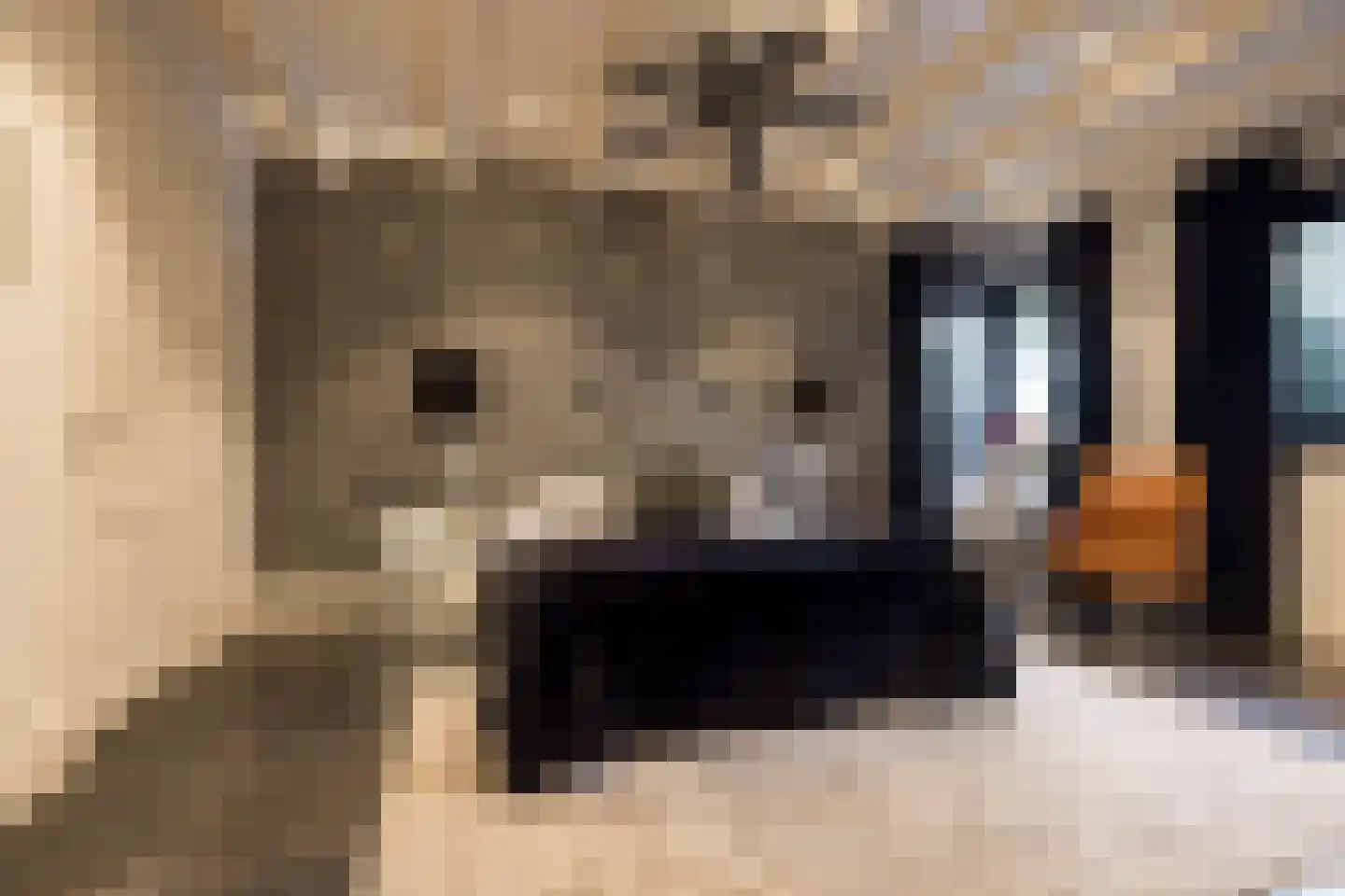 Boterhurken 12 Erp thumbnail 28