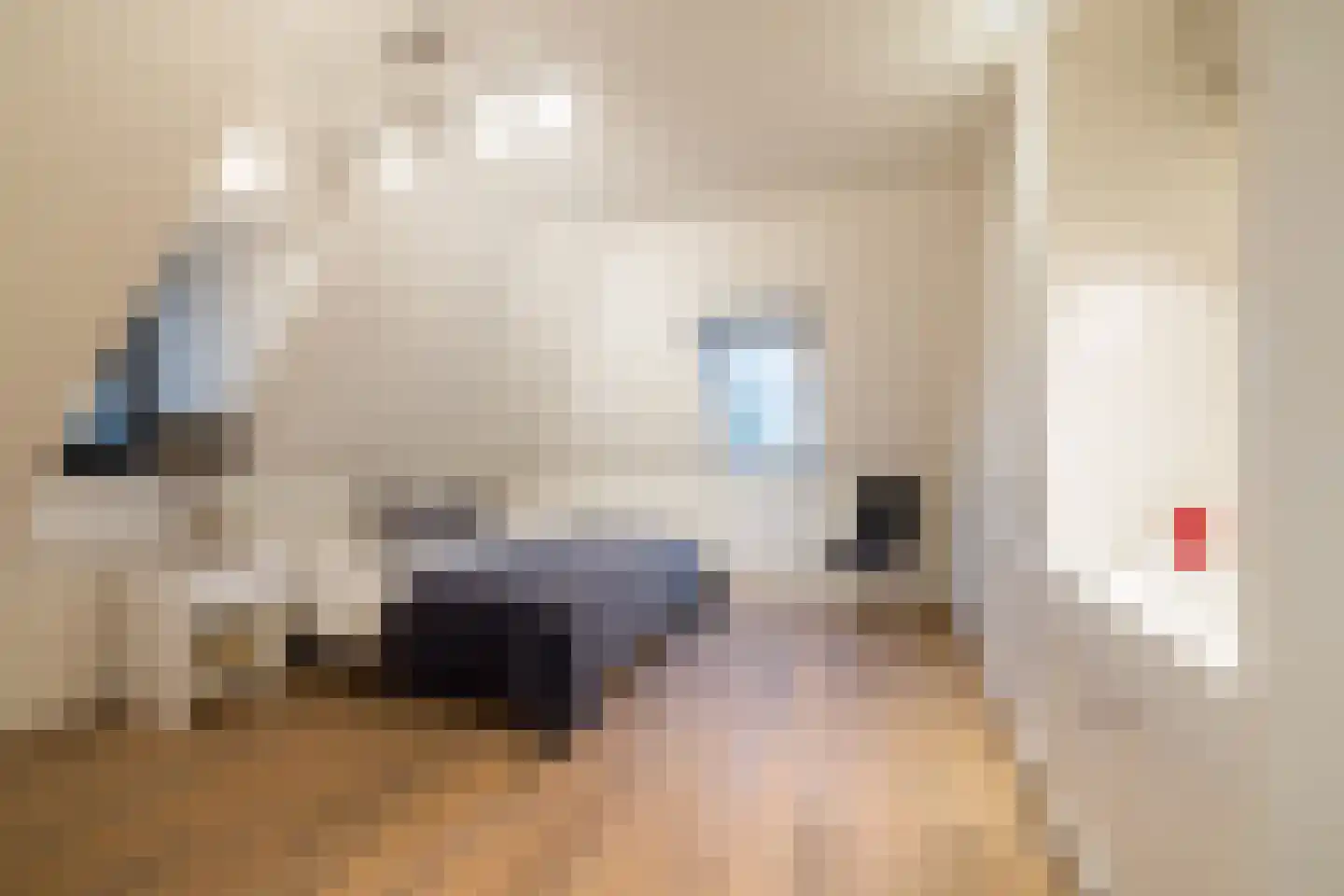 Boterhurken 12 Erp thumbnail 32
