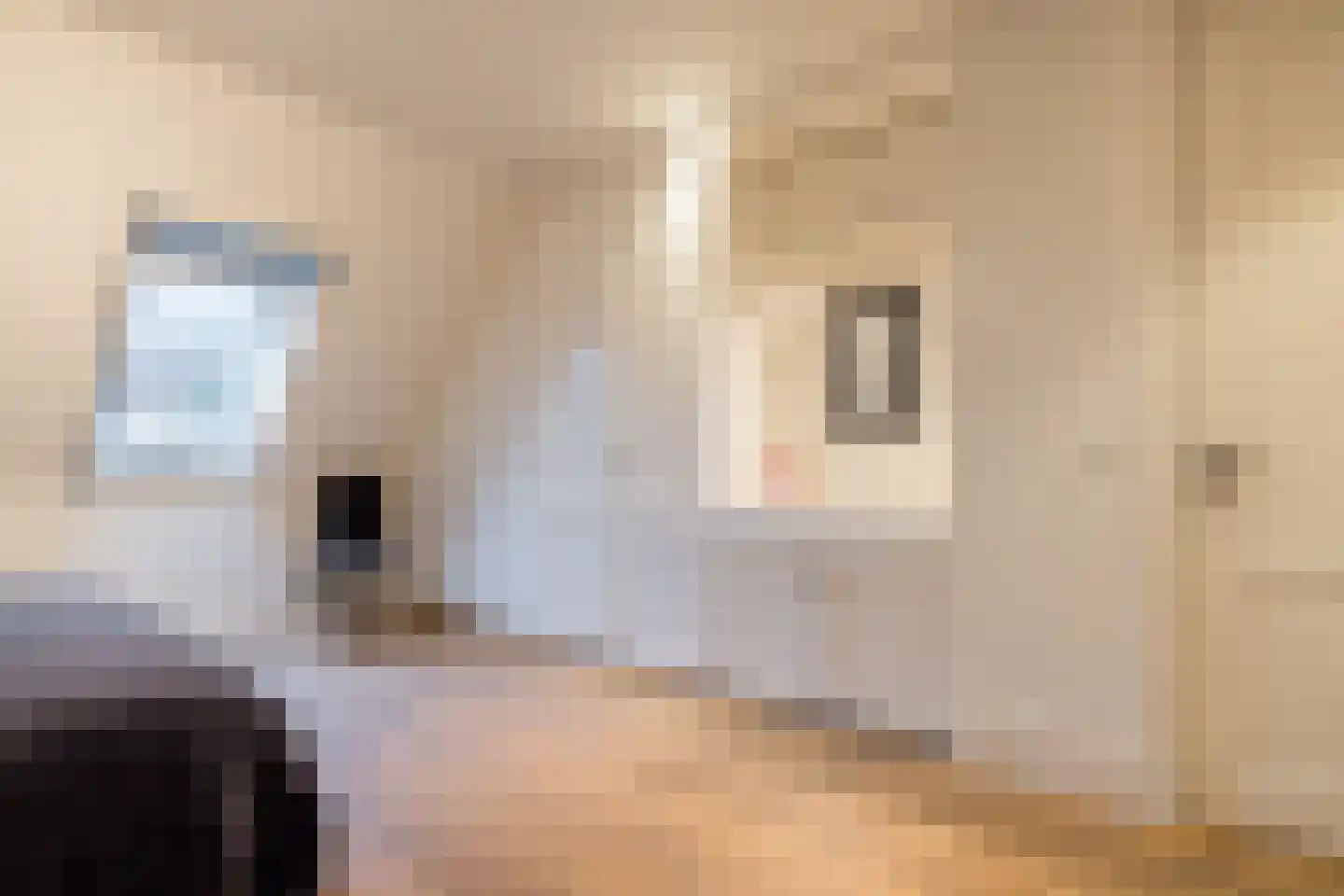Boterhurken 12 Erp thumbnail 33