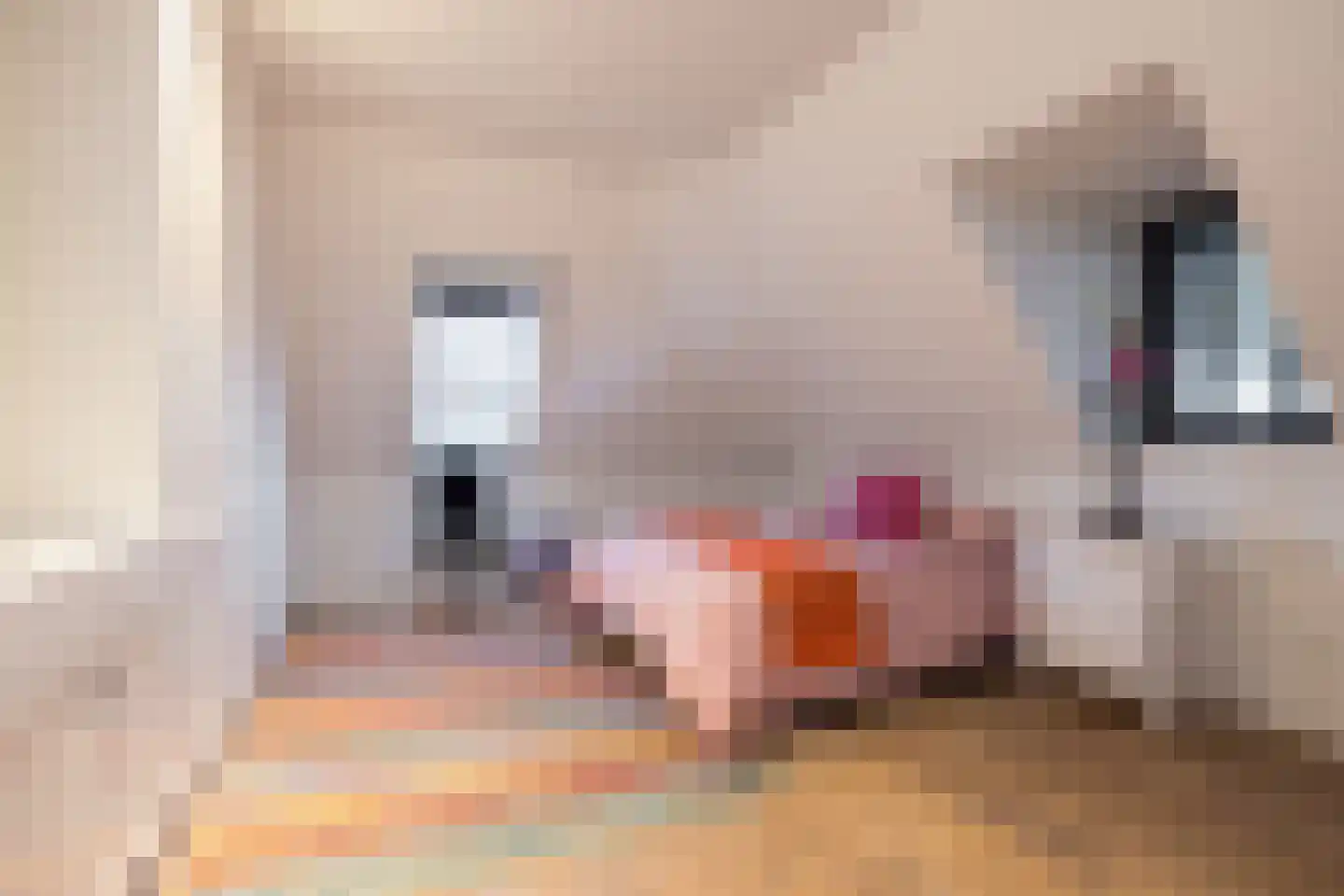 Boterhurken 12 Erp thumbnail 34