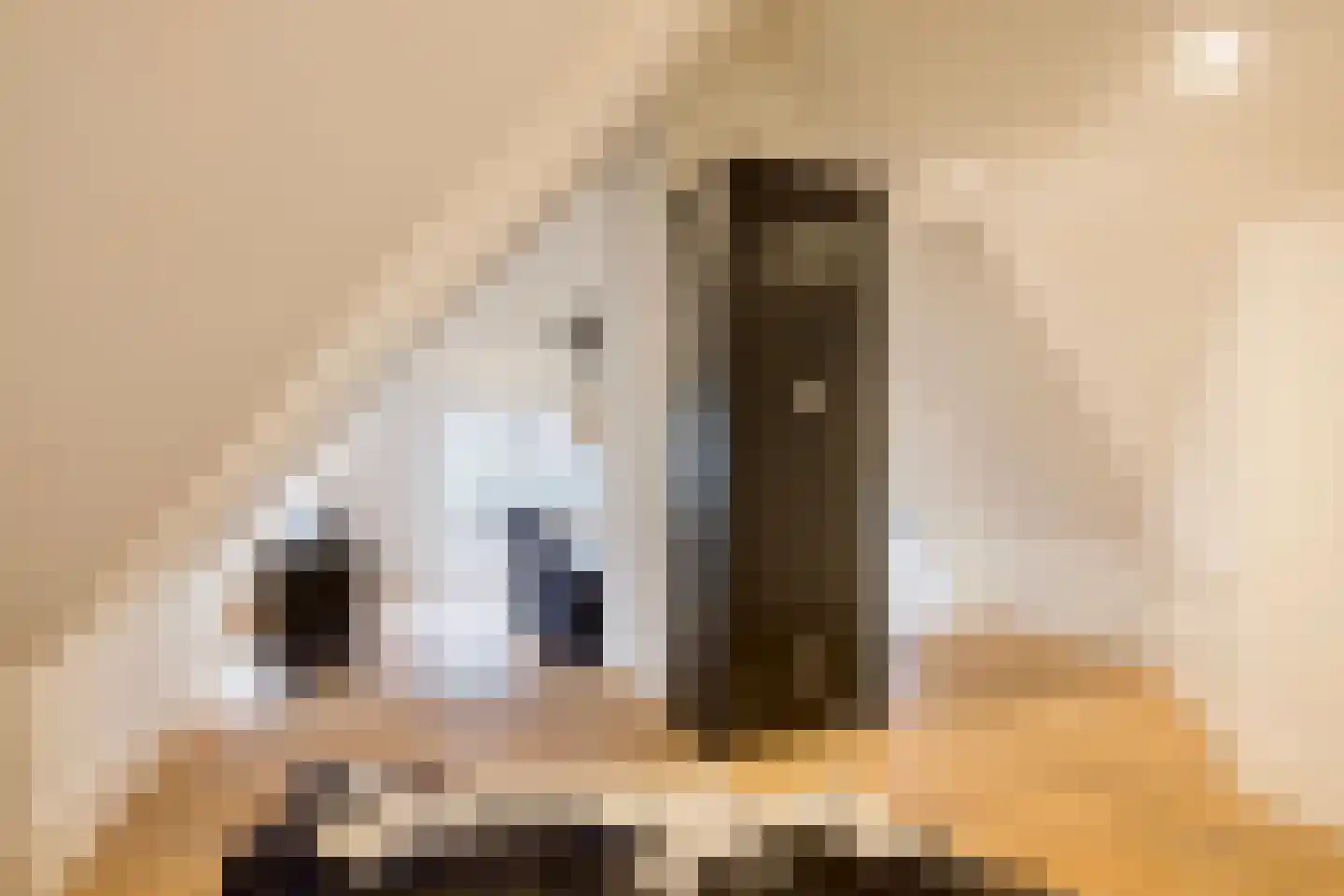 Boterhurken 12 Erp thumbnail 38