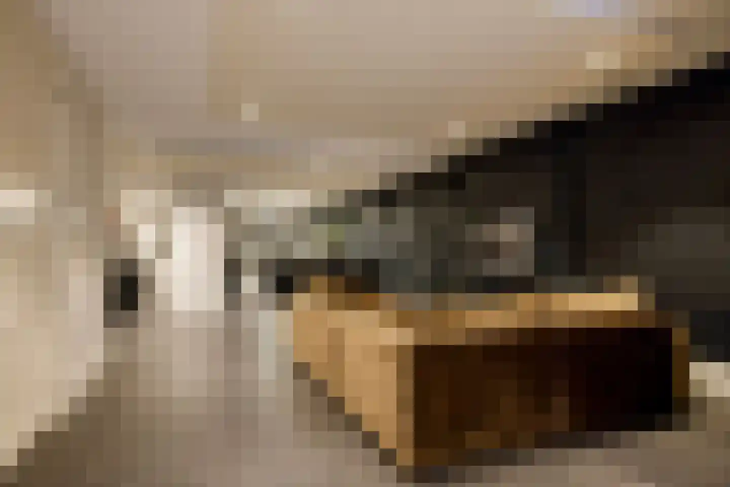 Boterhurken 12 Erp thumbnail 45
