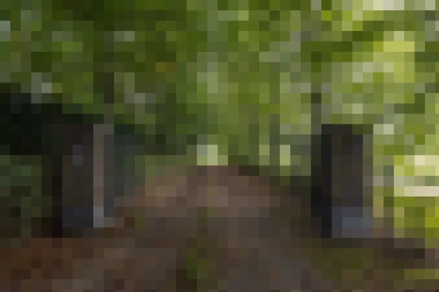 Boterhurken 12 Erp thumbnail 73