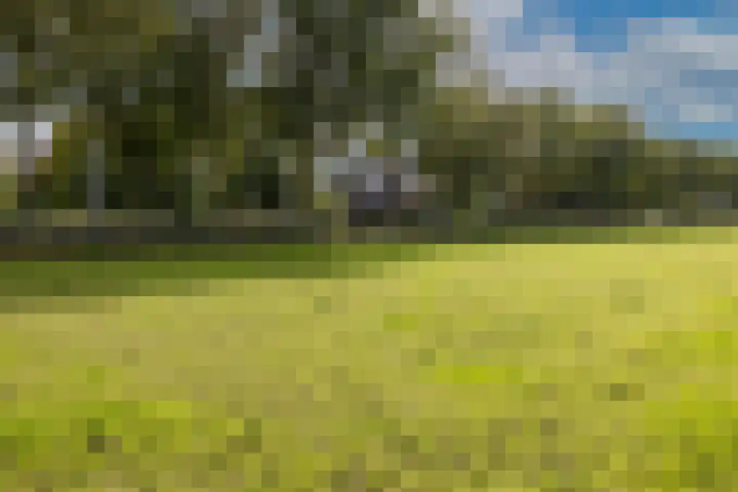 Boterhurken 12 Erp thumbnail 77