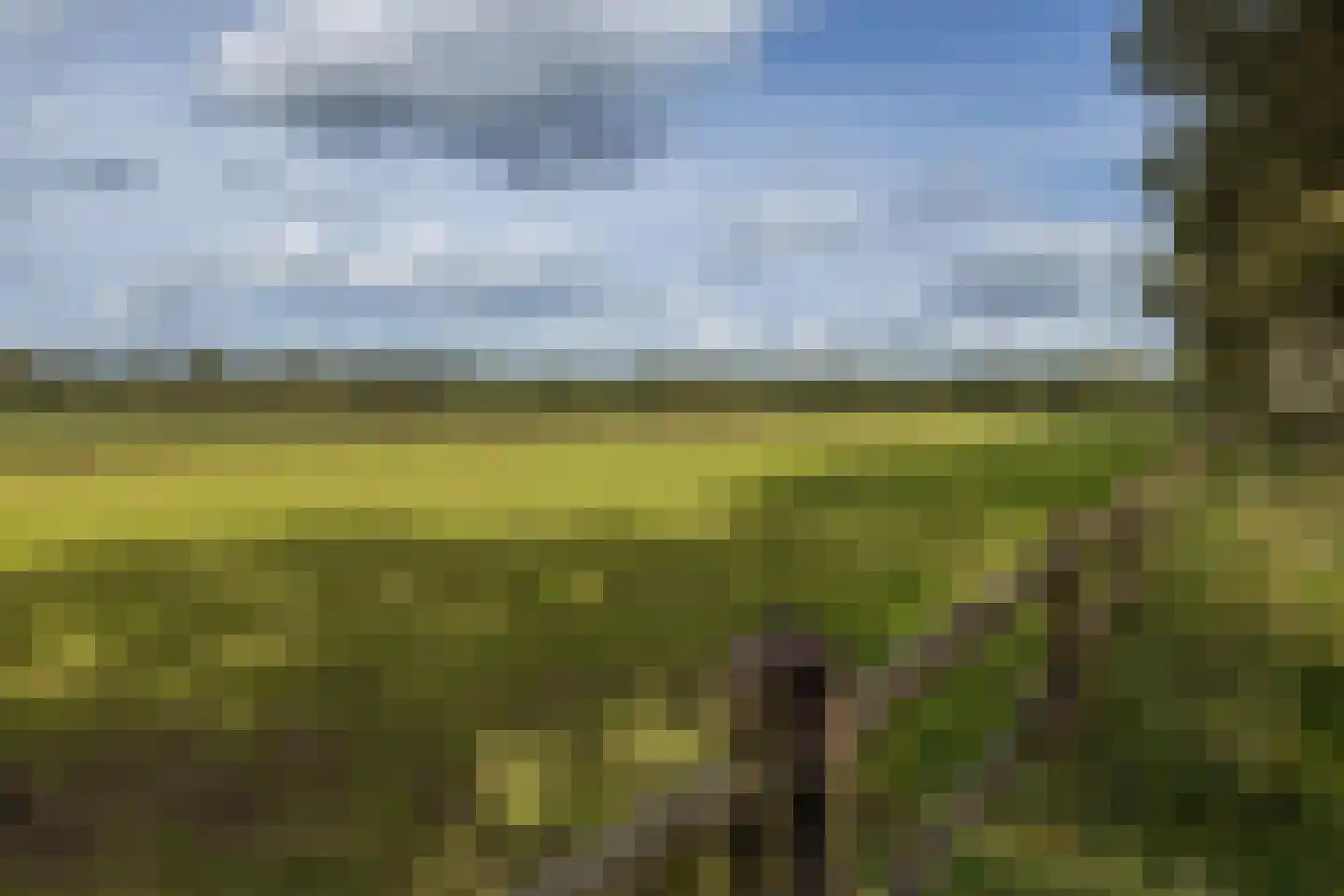 Boterhurken 12 Erp thumbnail 78