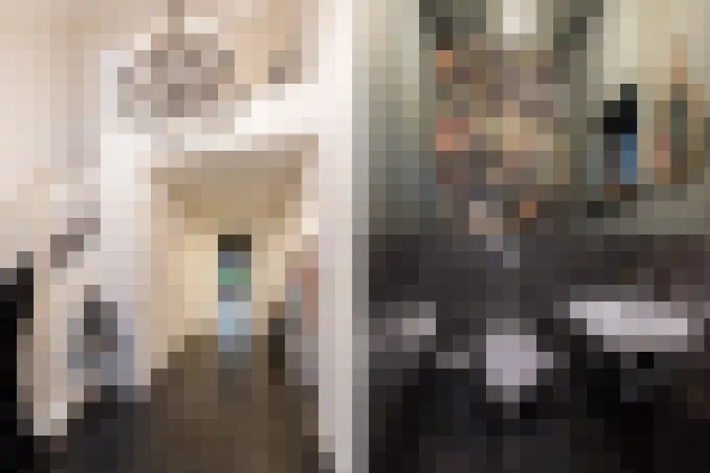 Boterhurken 12 Erp thumbnail 8